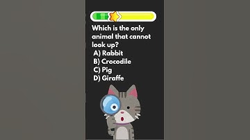 How smart are you?#quizgame #quiz #riddles #mindbendingquiz #english #vocabulary#riddleswithanswers