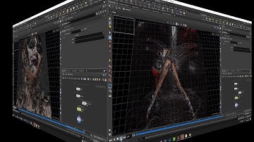 Houdini copies the picture and creates a special one. With the help of particles | Pop Net