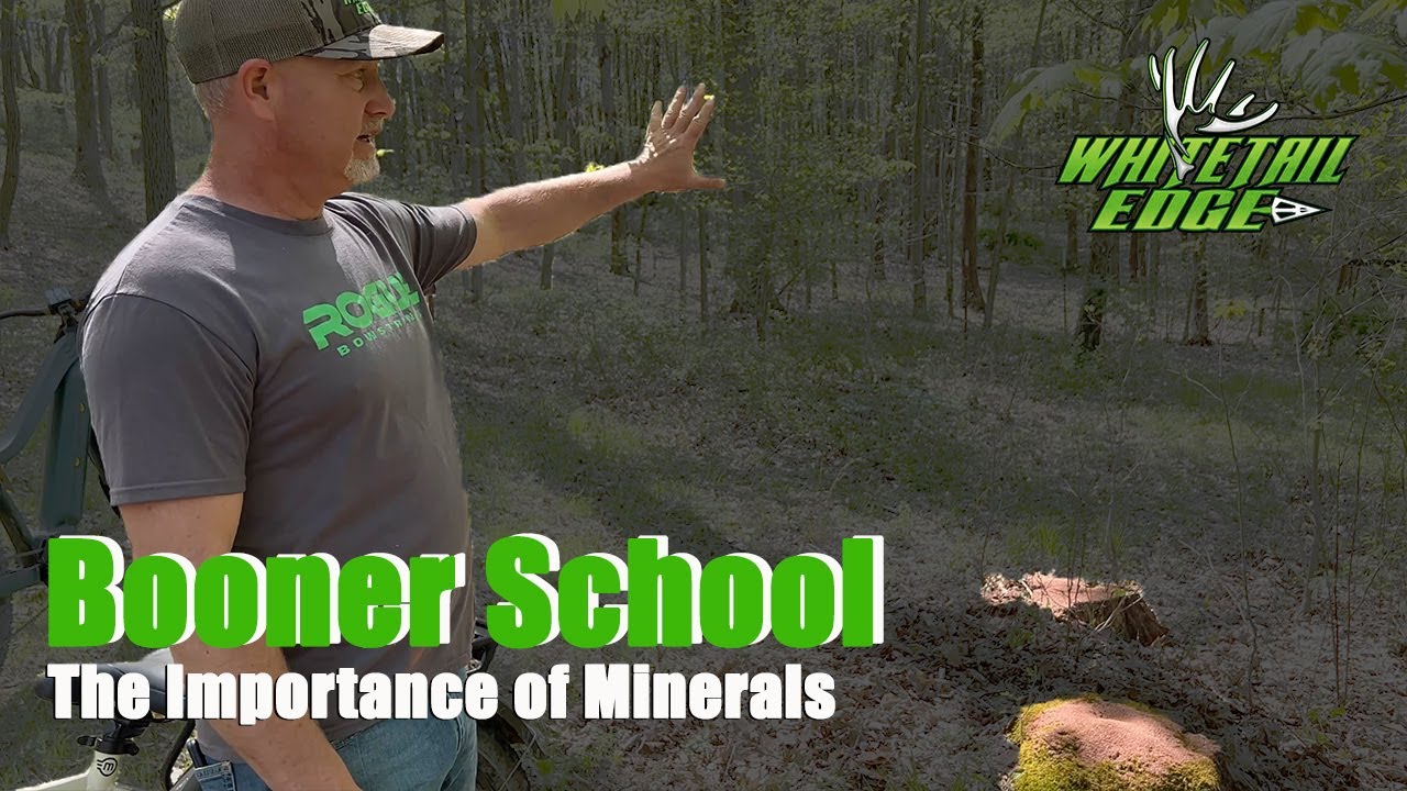 Школа Бунера: Как использовать минералы для оленей