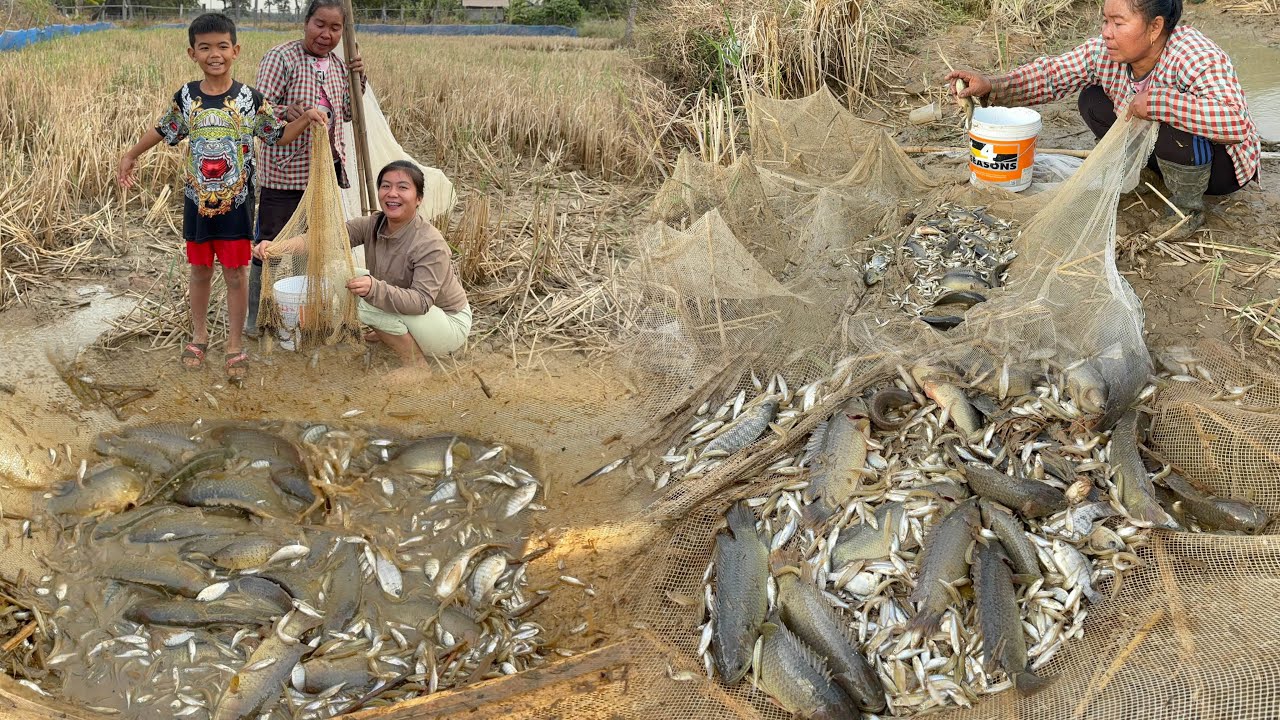 ‼️ ไม่คิดว่าปลาเข็งจะยัง เหลือเยอะขนาดนี้หว่านแหส่อนปลาชิว🐠🐠🐟