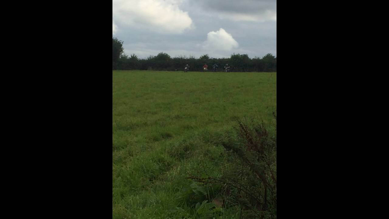 Cr85 vs 140cc Pitbike vs Rm80 vs Yz85 Drag Line to Line