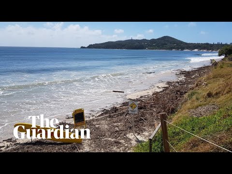 Video: Udržateľný pláž v severných riekach v Austrálii Zobrazenie prekvapivého formulára