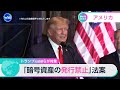 トランプ大統領らが対象 ｢暗号資産の発行禁止｣法案【WBS】