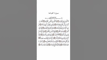 سورة القيامة بصوت القارئ الشيخ علاء عقل #القرآن_الكريم #راحة_نفسية #اطمئن #رمضان
