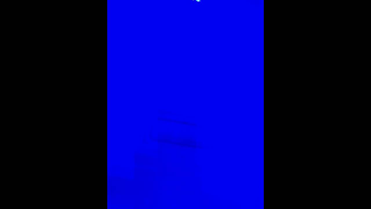 Blomberg BRFD2230SS refrigerator with blue light inside YouTube