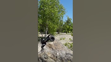 Axial Capra UTB18 does the impossible??