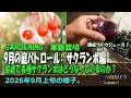 【XYOSSIYの果樹チャンネル】9月の庭パトロール:酷暑に耐えるサクランボ&爆なりブドウのジュース作り:2026年9月上旬の様子: