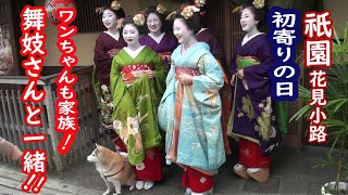 [2023/1/13]祇園 花見小路 「初寄り」の日 わんちゃんも家族！みんなで笑顔の記念撮影　Maiko GION HANAMI-KOJI street