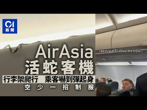 驚見活蛇爬在行李架 泰國AirAsia飛機乘客「嚇到彈起身」｜01國際｜飛機｜蛇｜泰國