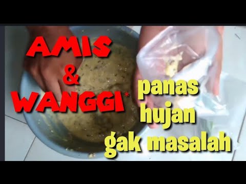 Umpan ikan mas Amis & wangi