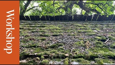 Section 106 of the National Historic Preservation Act