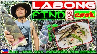 EP12 - Bamboo Shoot (Labong) Find and Cook / Ginataang Labong