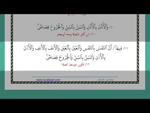 وكتبنا عليهم فيها أن النفس بالنفس والعين بالعين والأنف بالأنف والأذن بالأذن والسن بالسن والجروح قصاص