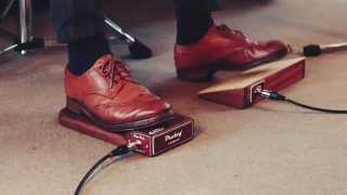 Prolog Analog Stomp Box Sapele Video