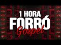 Seleção Forró Gospel 2024 [ ESTILO FORRÓ BOYS ] 1 Hora de Forró Gospel @isaacgospelproducoes