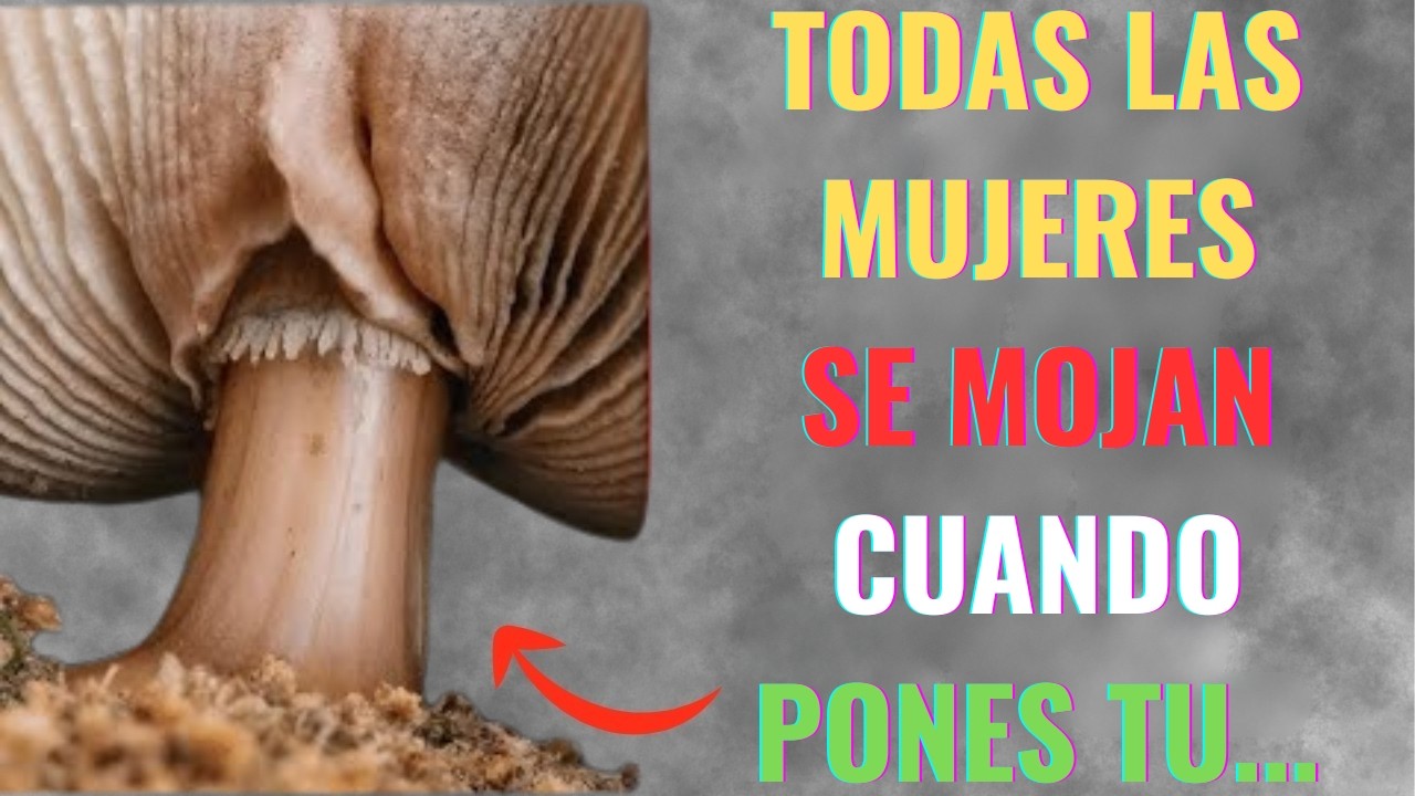 Datos sorprendentes sobre la psicología femenina que nunca has escuchado antes