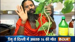 Watch Home Remedies for Dengue Treatment by Baba Ramdev - India TV