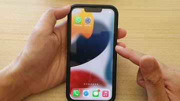 iPhone 13/13 Pro: How to Set The Default Safari Page Zoom Size