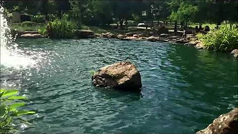 Oyster Creek Park - Memorial Day Weekend - Sugarland TX