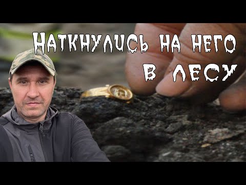 Набрели на шикарное место в лесу