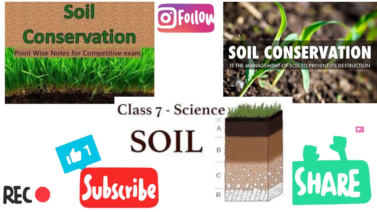 What Is Soil Conservation Class 7 Science notes YouTube explain-any-3-soil-conservation-measures-brainly-in