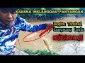 AKIBAT MELANGGAR PANTANGAN DI SUNGAI BERPENGHUNI BUAYA//jadi incaran buaya saat mancing udang galah