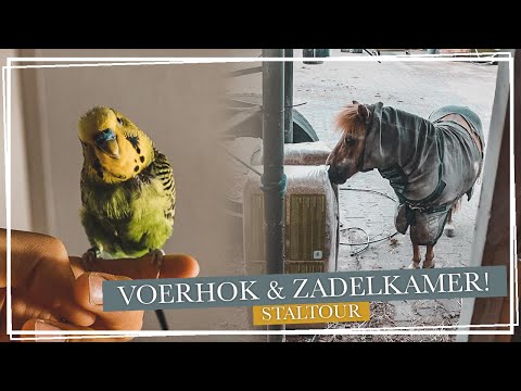 Video: Paarden Tuinen