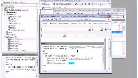 BASES DE DATOS CON FIREBIRD - VIDEO No. 21