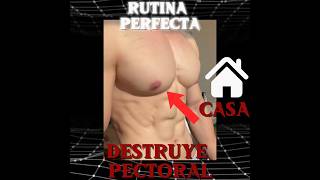 rutina DESTRUYE chest #gymencasa #gym #fitness #workout #ejercicioencasa #chest #musculo #ejercicio