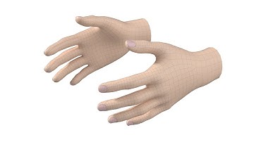 3D Model Female Hand Base Mesh 02 (preview)