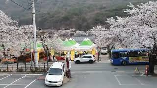 계룡산동학사펜션 영상
