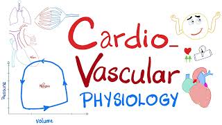 Cardiovascular Physiology, PressureVolume loops, Cardiac Cycle, ESV, EDV, SV, CO, Starling Law