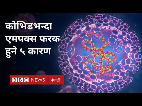 Mpox and Covid: कोभिडभन्दा एमपक्स फरक हुने ५ कारण - BBC Nepali Sewa