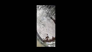 chocolate cookies recipe ?? , By Arshis Kitchen subscribe arshiskitchen fouryoupage