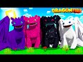 The OLD NIGHTFURY FAMILY are BACK! - Dragons Roleplay