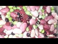 Home Grown Bean Sip or Soup