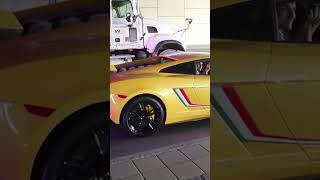 Lambos Run From Cops And Get BUSTED!