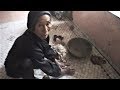 Pyongyang: Village life - North Korea 北朝鮮 村人の生活(平壌の世界227)