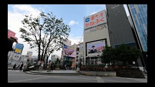 Shinjuku Station - Time Lapse [4K] (May, 2024)