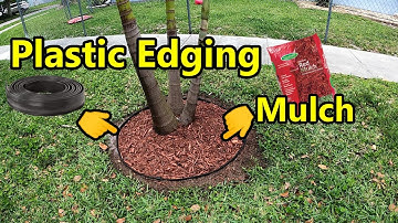 How to Install Plastic Edging and Mulch around Trees