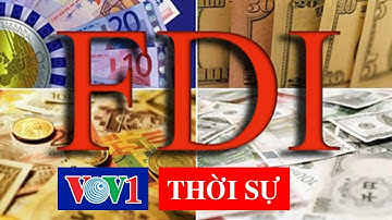 30 năm thu hút FDI: Cần nhìn thẳng để thấy thực chất hơn | #VOV1 - Thời sự