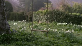 Ammonite  Ivy  Taylor Swift  