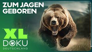 Wilde Tiere hautnah: Geborene Jäger & Rastlose Wanderer | Doku | XL Doku Deutschland