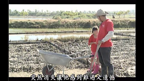 海風 日頭 鹽田樂｜嘉義洲南鹽場 (公共電視 我們的島第583集 2010-11-15) - 天天要聞