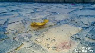 Emre Aydın Beni Vurup Yerde Bırakma