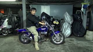 ホンダ：マグナ50(2005)参考動画：長期室内保管の逸品