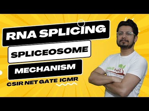 Vidéo: Le spliceosome est-il une enzyme ?