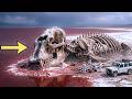🔴 Blood Lake Secret — Lake Urmia Discoveries Scientists Still Can’t Explain