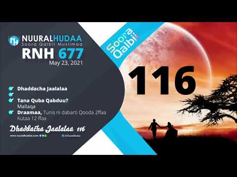 RNH 677 May 23 2021 Soora Qalbii