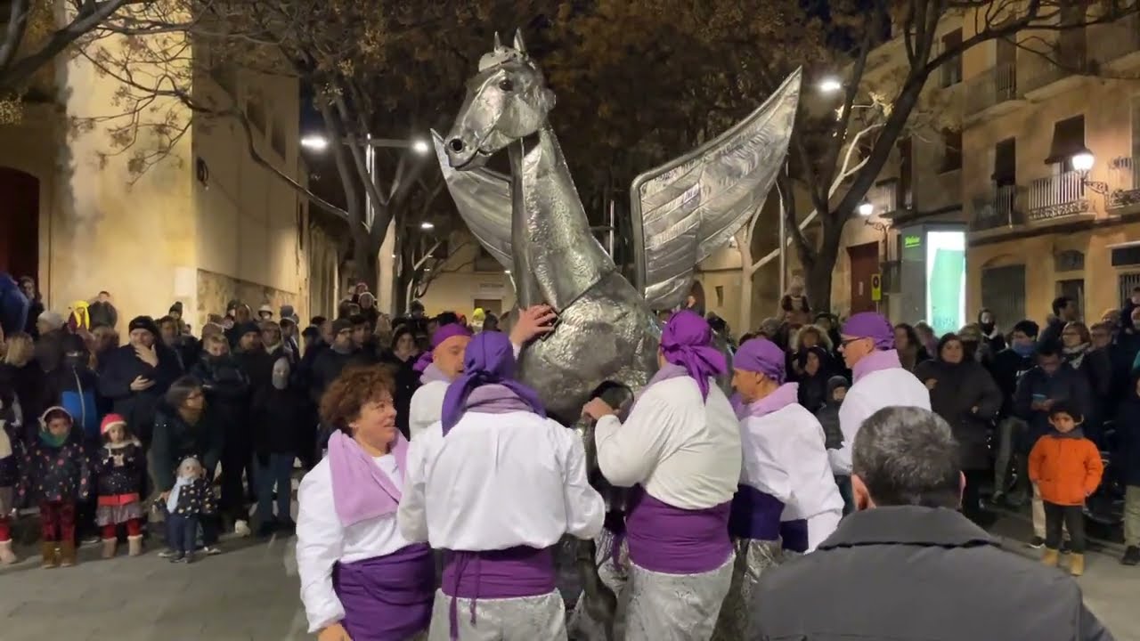 Cavall Alat de Vila-seca | Seguici de Sant Antoni a Vila-seca 2023